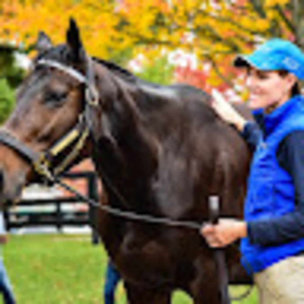 Meet your Posher, Erin